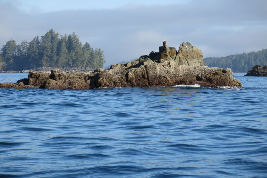 Eagle Nook Resort Ucluelet Exteriör bild